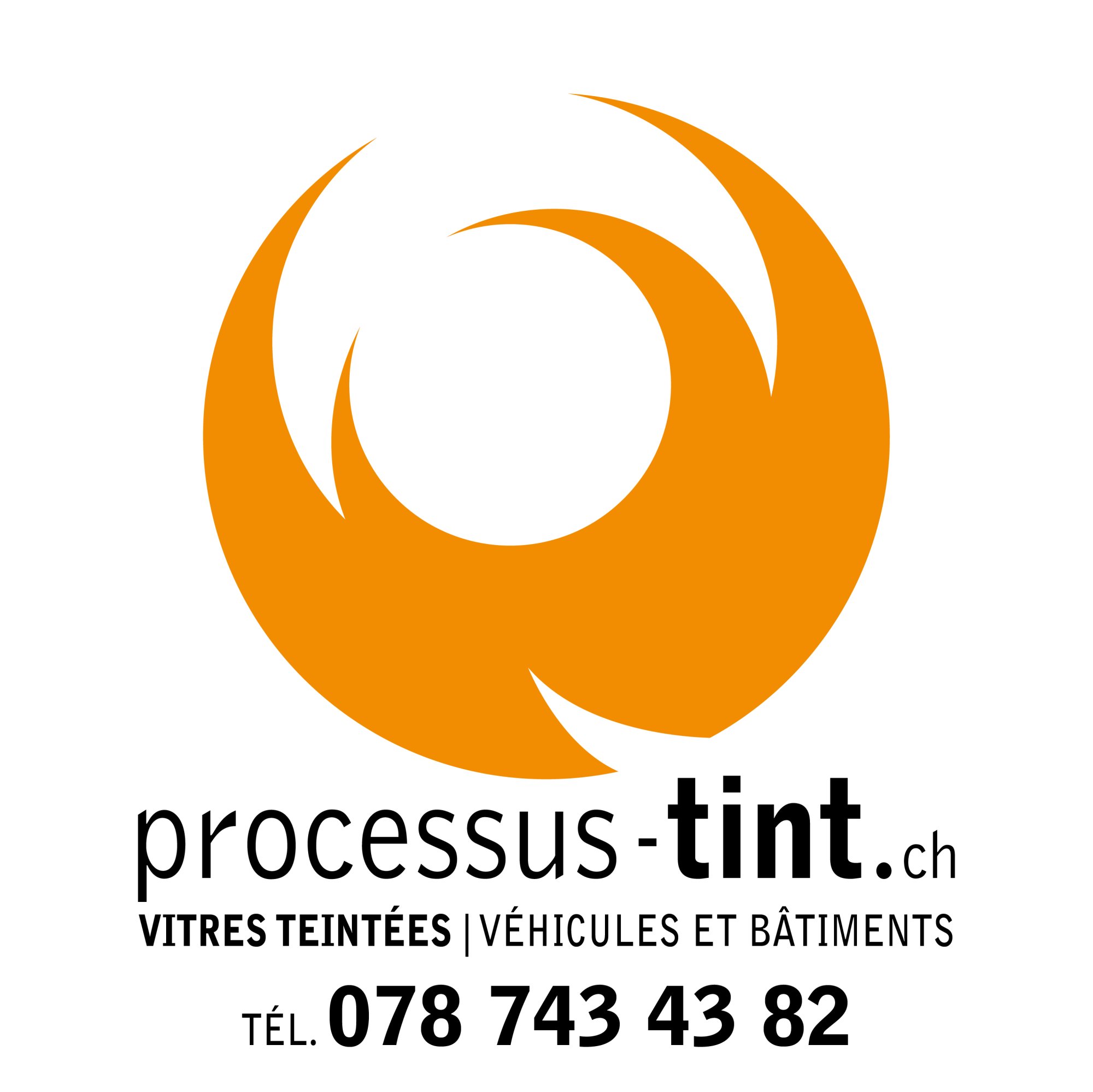 logo_processustint_fr